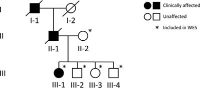 A Novel Osteochondrodysplasia With Empty Sella Associates With a TBX2 Variant